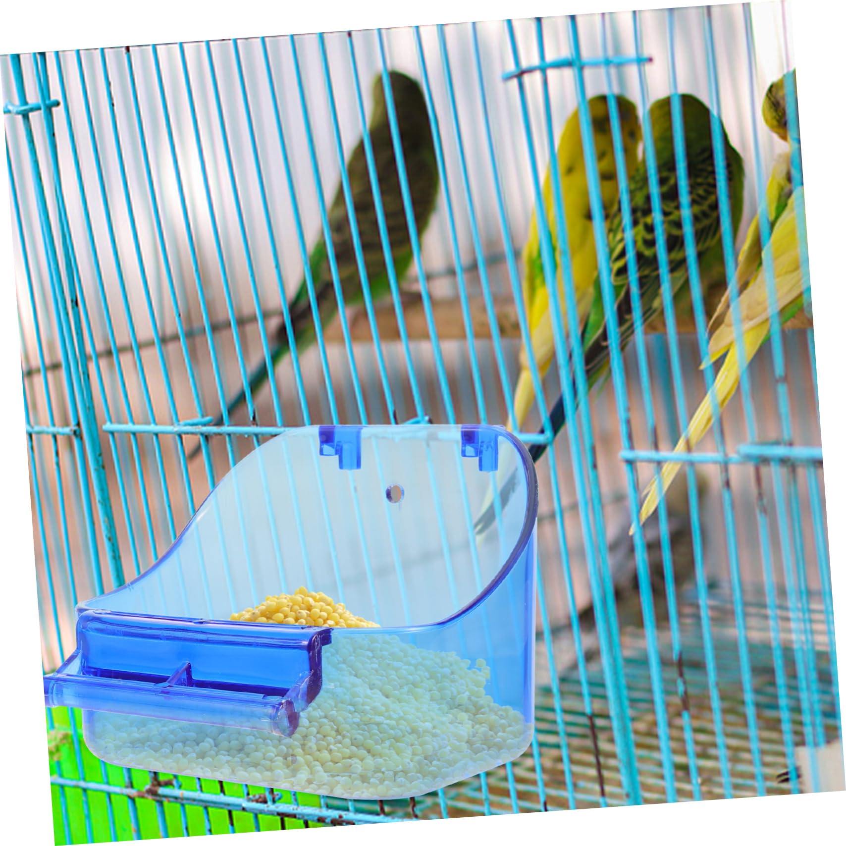 BESPORTBLE 5pezzi Box Per Uccelli Con Vasca Da Bagno Per Pappagalli Accessorio Per Culla Facile Da Installare Materiale Stabile e Sicuro Per Pappagalli e Parrocchetti