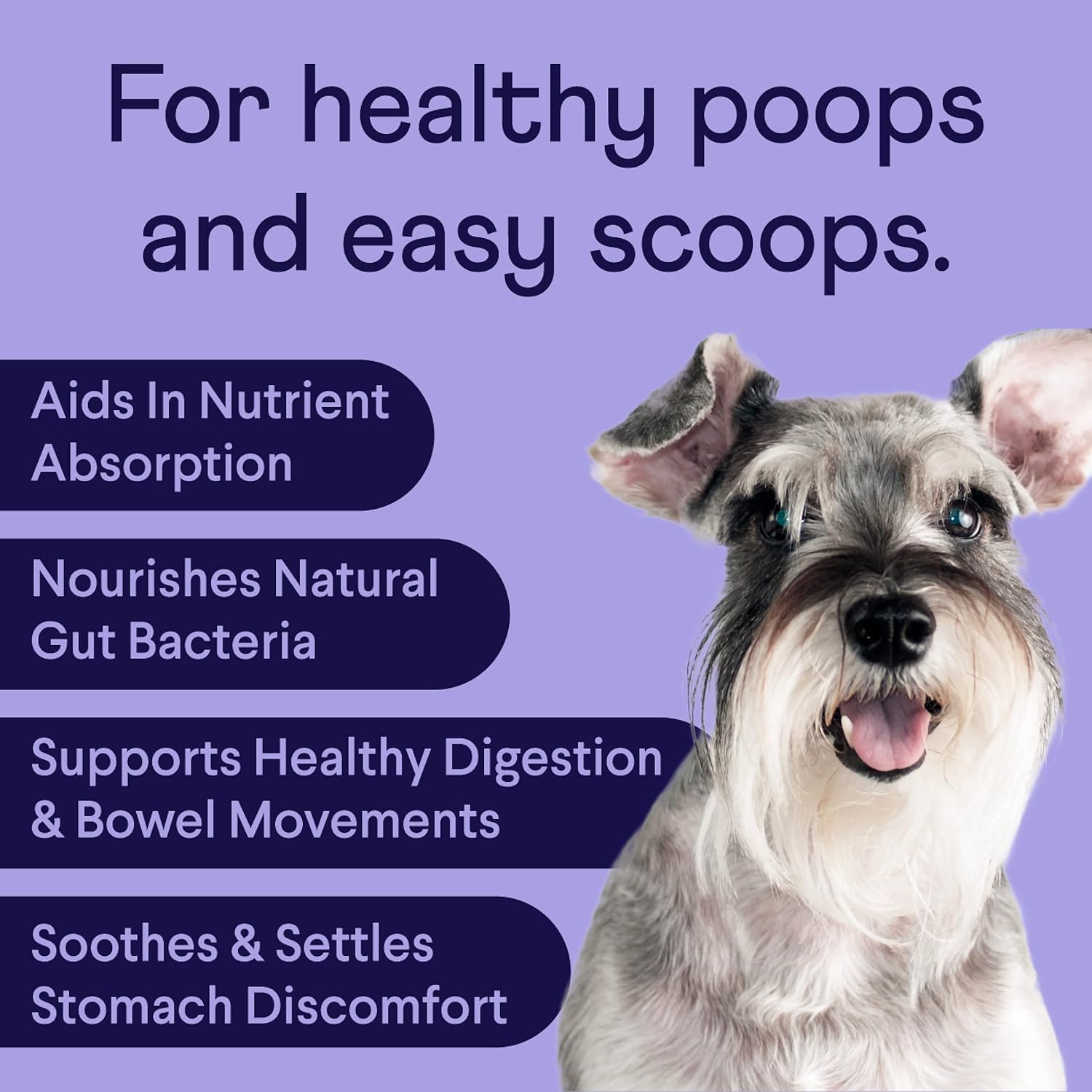 Finn Probiotics for Dogs - Helps Maintain Digestive Health & Gut Flora, Improves Immunity & Allergy Response - Pumpkin, Prebiotics, & Living Probiotics - Vet Recommended & Made in The USA : Pet Supplies