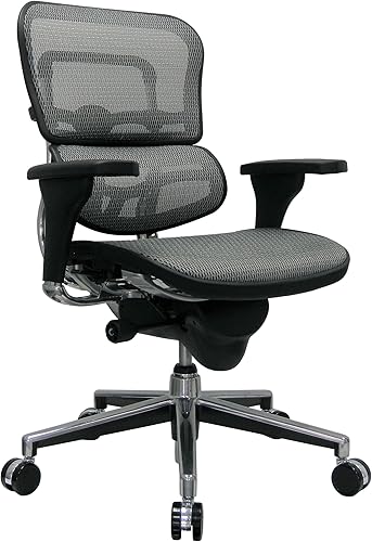 Eurotech Sillón giratorio Ergohuman con respaldo medio, color gris