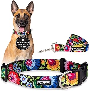 Lucky Love Dog Collar and Leash Set for Large Dogs Cute – Blackbird, Large | Dog Collar and Leash Set for Large Dogs | Matching Adjustable Collar + 5 ft Leash, Easy Click Buckle
