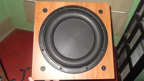 EARTHQUAKE BURL10 Supernova MKV 10 600 Watt RMS Powered Subwoofer (BURL)
