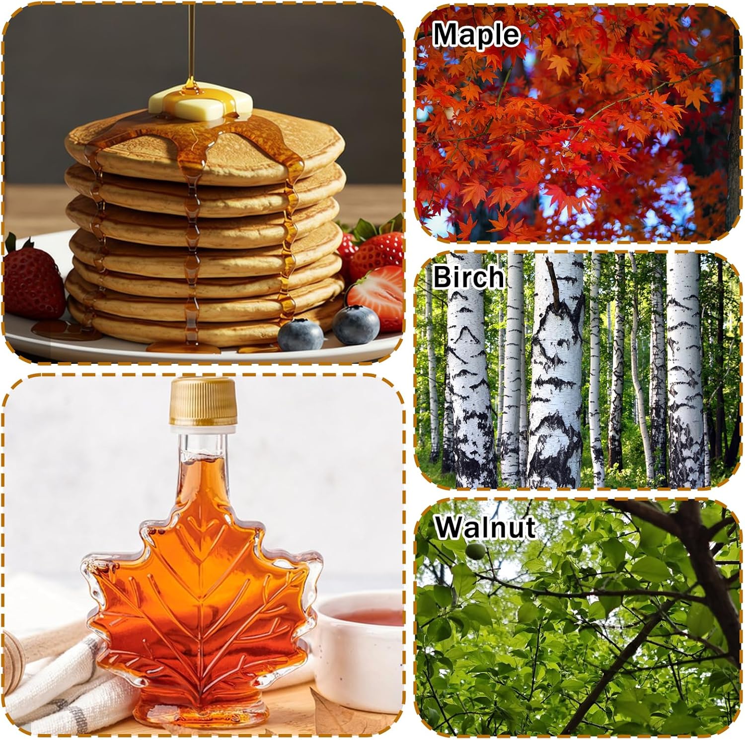 5 Set Maple Syrup Tapping Kit with 5 Buckets 16ft Food Grade Tubing 5 Taps Maple Sap,Maple Tree Tapping Kit Collection Supplies Syrup Tree Taps for Experts or Beginners