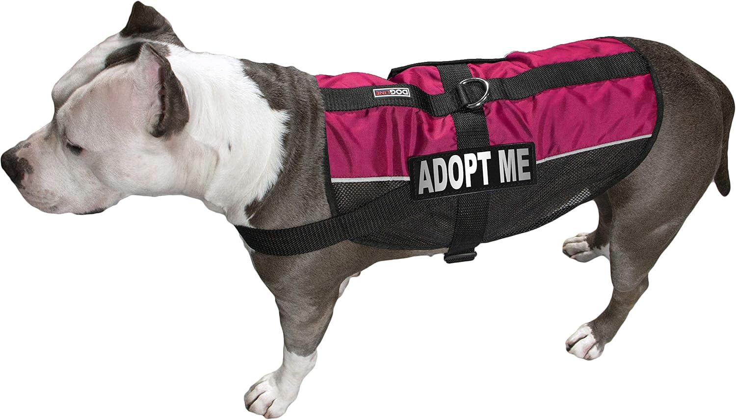 Dogline N0251-7-0231 MaxAire Mesh Vest for Dogs & 2 Removable Adopt Me Patches, 17 to 21"/Medium, Pink (Pack of 2)