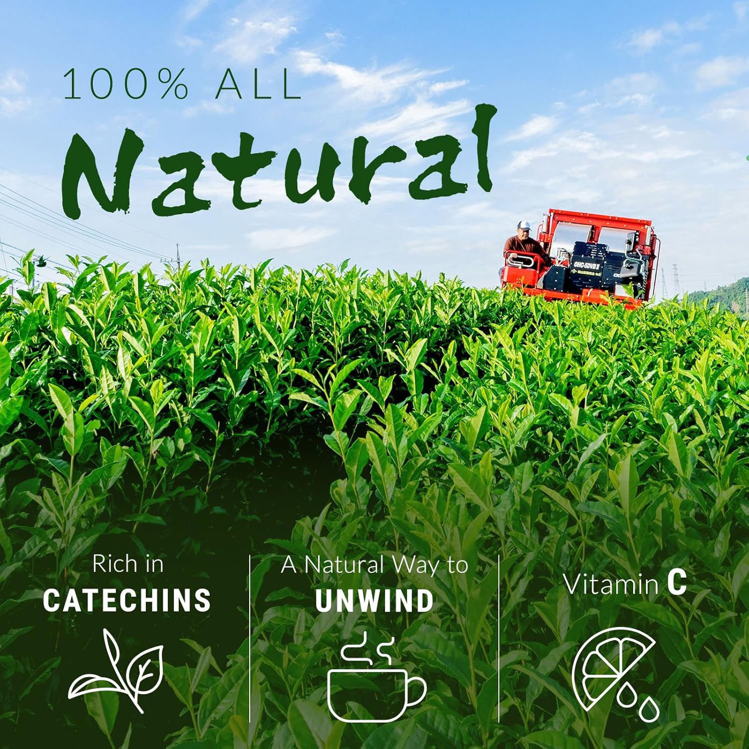 NAKANE TEA INC. Organic Matcha Blended Japanese Green Tea Bags, 100 Count – Grown in Japan, USDA Organic