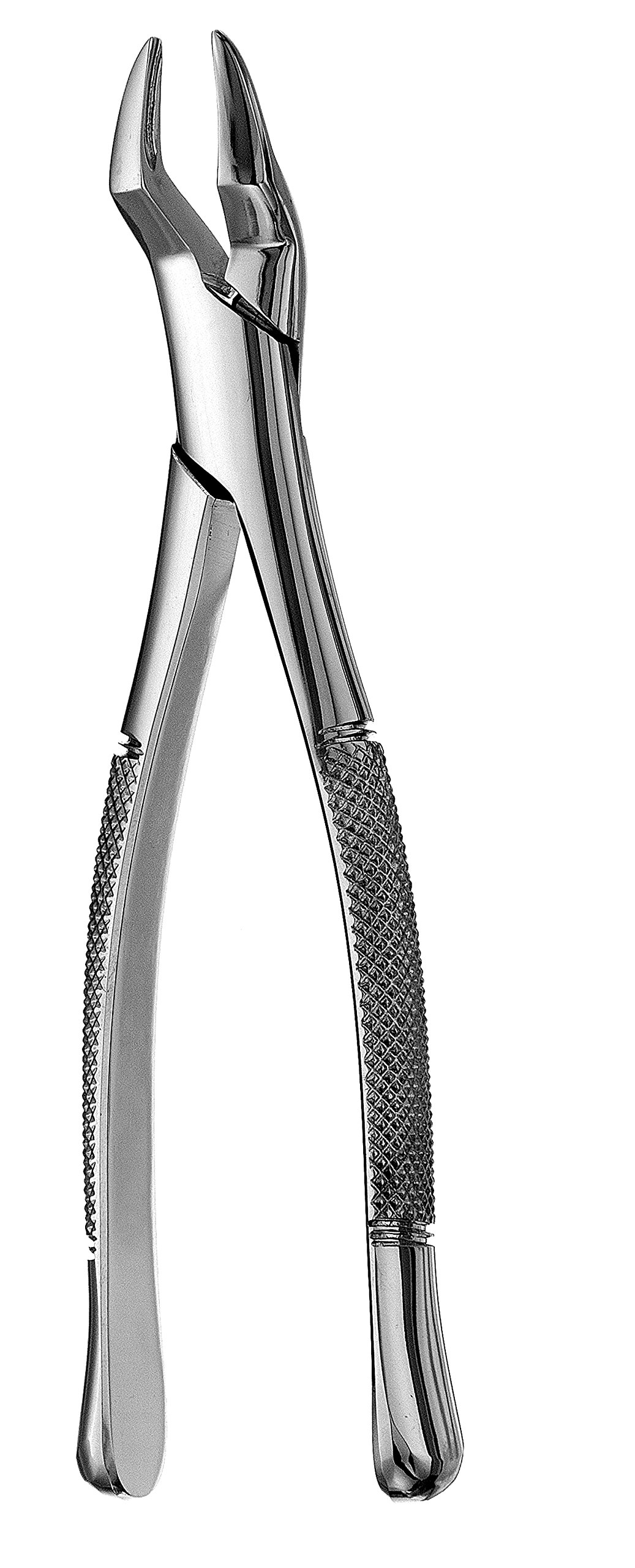 Hu-Friedy F300 #300 Root Forceps, Serrated