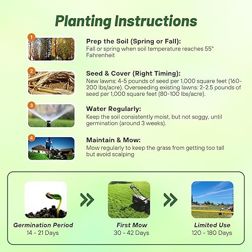 Miniatura 4 de Outsidepride Semilla de césped de césped tolerante a la sombra de festuca fina roja rastrera de 25 libras