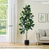 Artificial Fiddle Leaf Fig Tree：6FT Tall Faux Ficus Lyrata Plant Fake Fig Trees Realistic Green Silk Large Leaves with Natural Trunks & Pebbles in Black Planter for Indoor Outdoor Office Home. 6FT Black 1