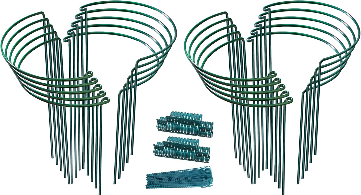 TCBWFY 20 Pack Garden Plant Support Stakes,10" Widex16 High Heavy Duty Interlinked Half Round Peony Support Ring Cage for Indoor Outdoor Plants,Plant Supports for Peony,Tomato,Hydrangea,Rose