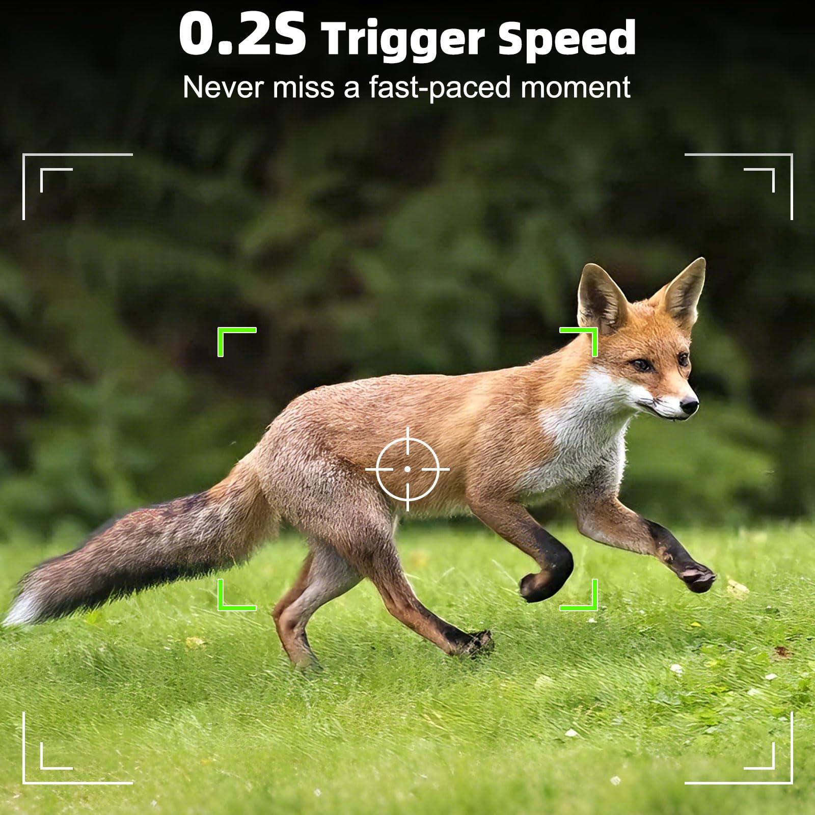 Caméra de Chasse Solaire 60MP 4K WiFi, Camera Chasse connectée Téléphone