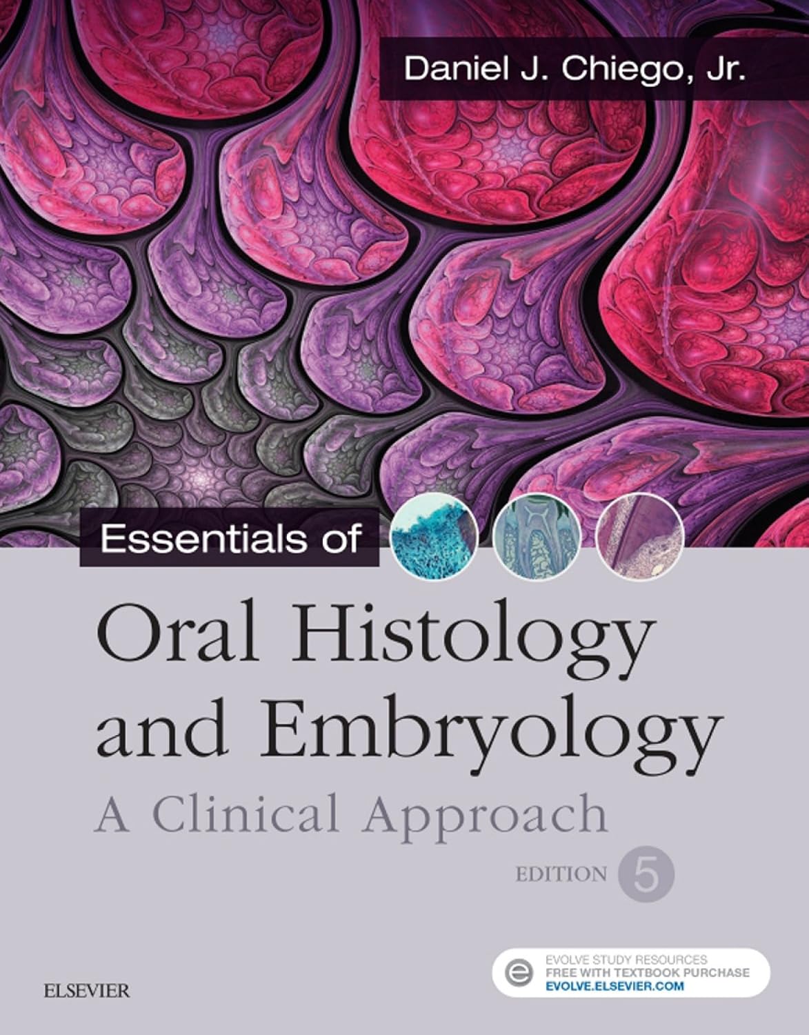 Essentials of Oral Histology and Embryology E-Book