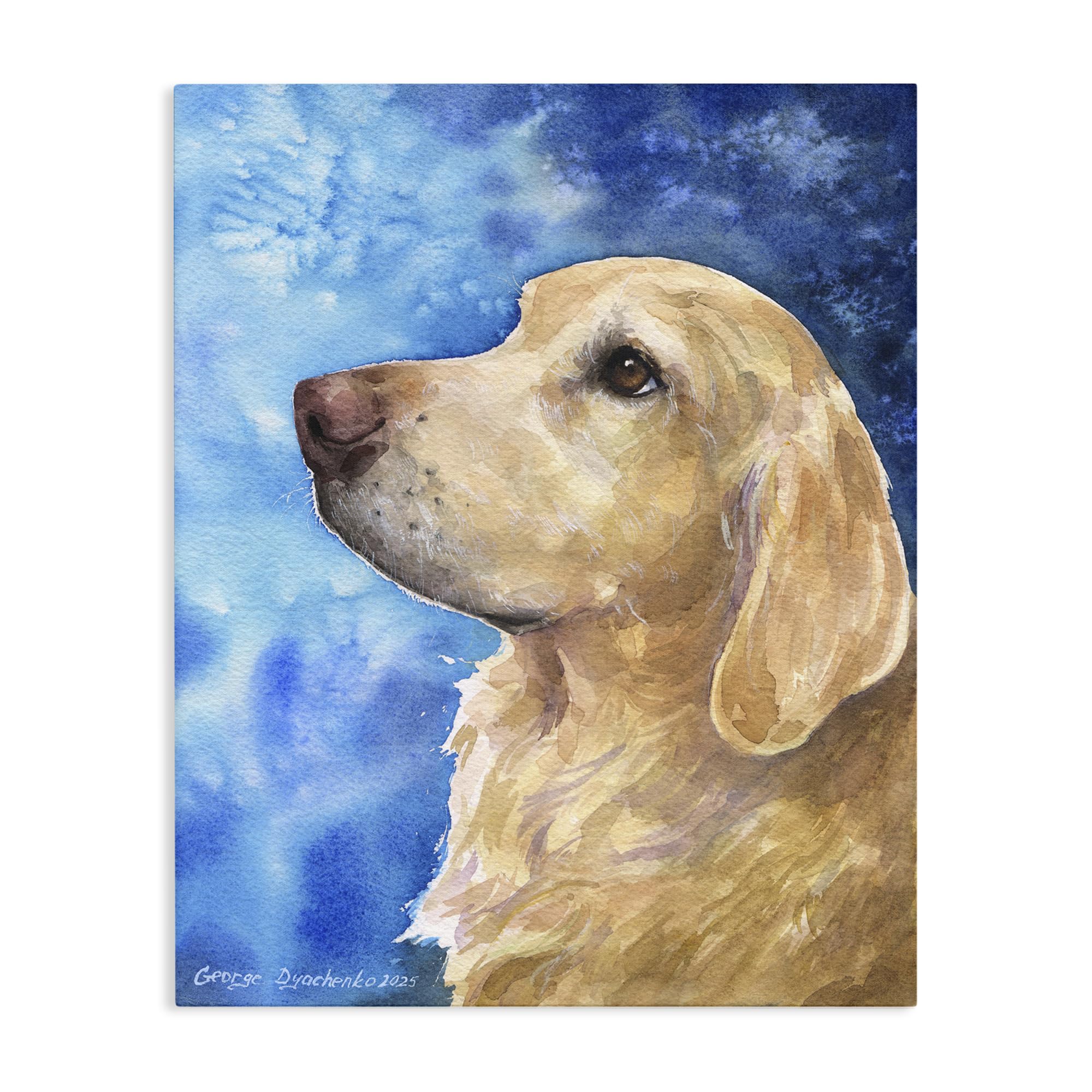 Stupell Industries 'Golden Retriever Portrait on Azure', Canvas Art, 16 x 20 Inches, Easy to Hang and Sturdy, Made in USA, by George Dyachenko