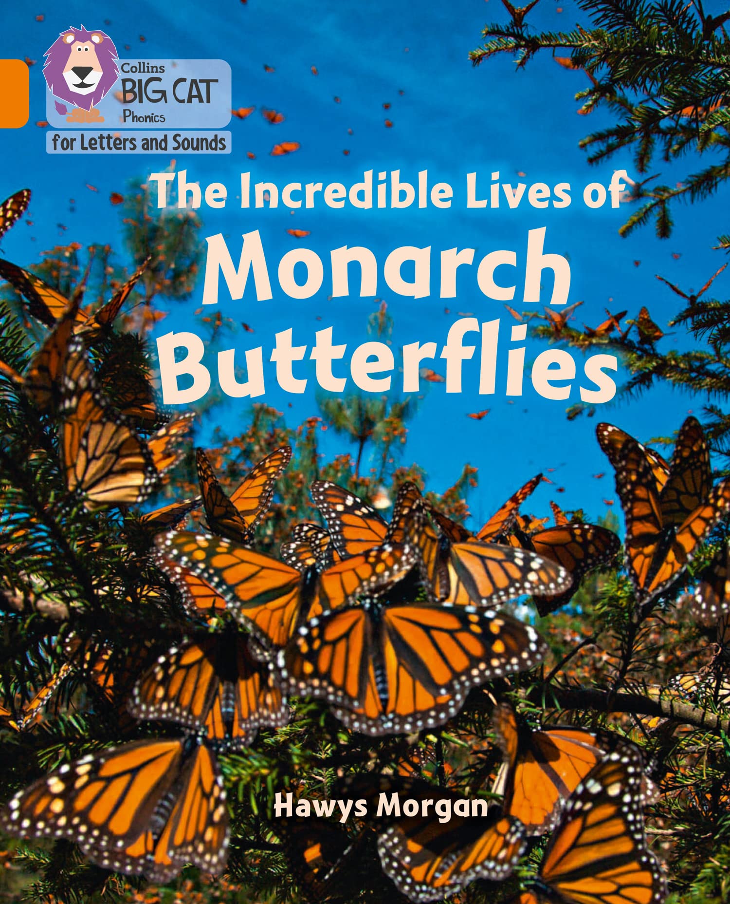 The Incredible Lives of Monarch Butterflies: Band 06/Orange (Collins Big Cat Phonics for Letters and Sounds)