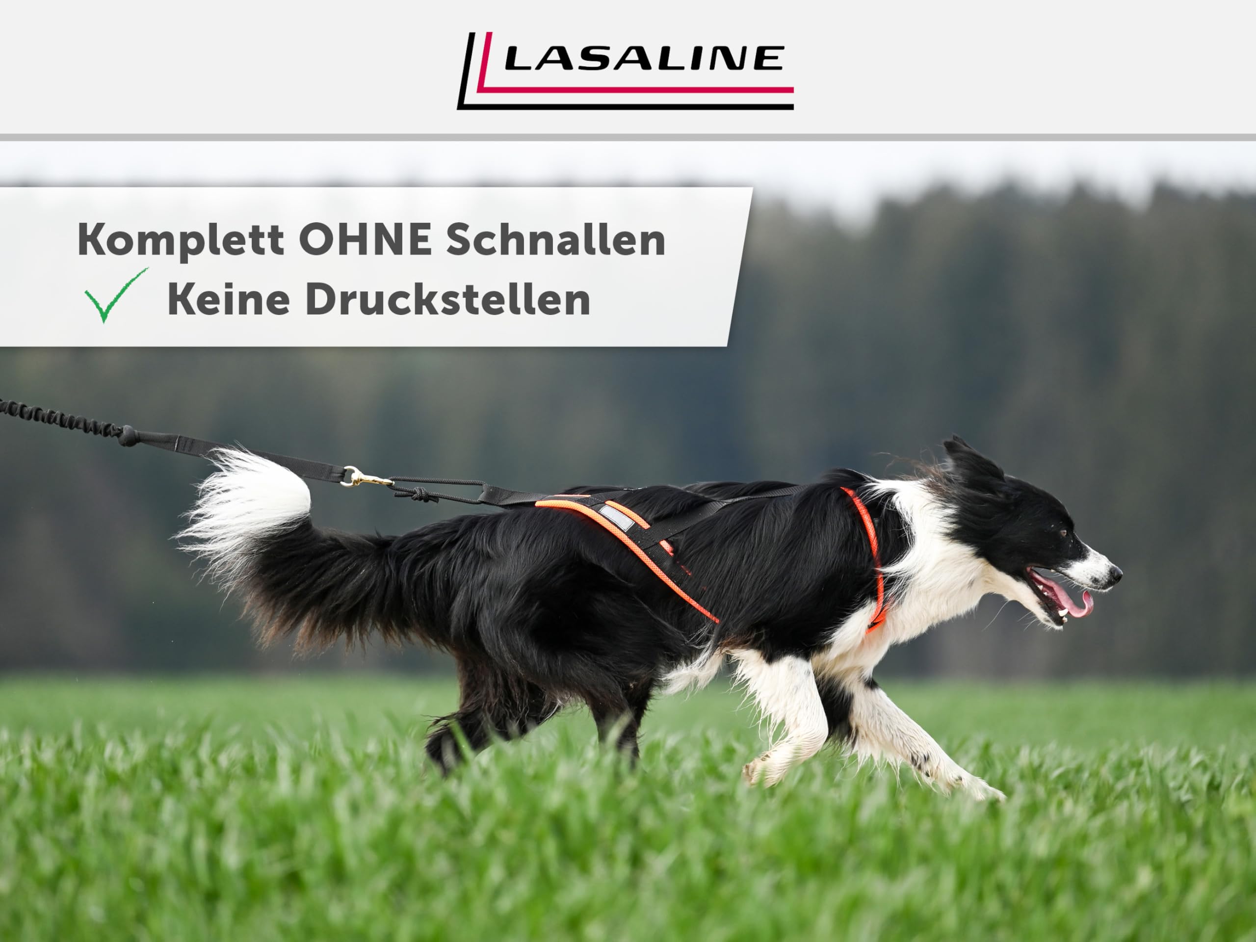 Mini X Back Zuggeschirr für kleine Hunde Hundesport Canicross Dogscooter Bikejöring Schlitten leicht Schwarz Neonorange