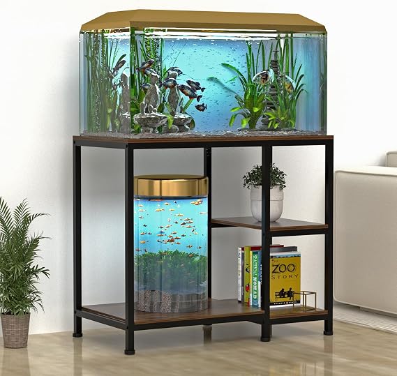 fish tank accessories in sri lanka Photo Tour: Lanka's Ornamental Breeding and Training Center Hydroponic Plant Terrarium Betta Aquarium Fish Tank Set Hydroponic Cleaning Tank Glass Terrarium Planter OfficeOur product is ecological betta tank Best Aquarium Service in Sri
