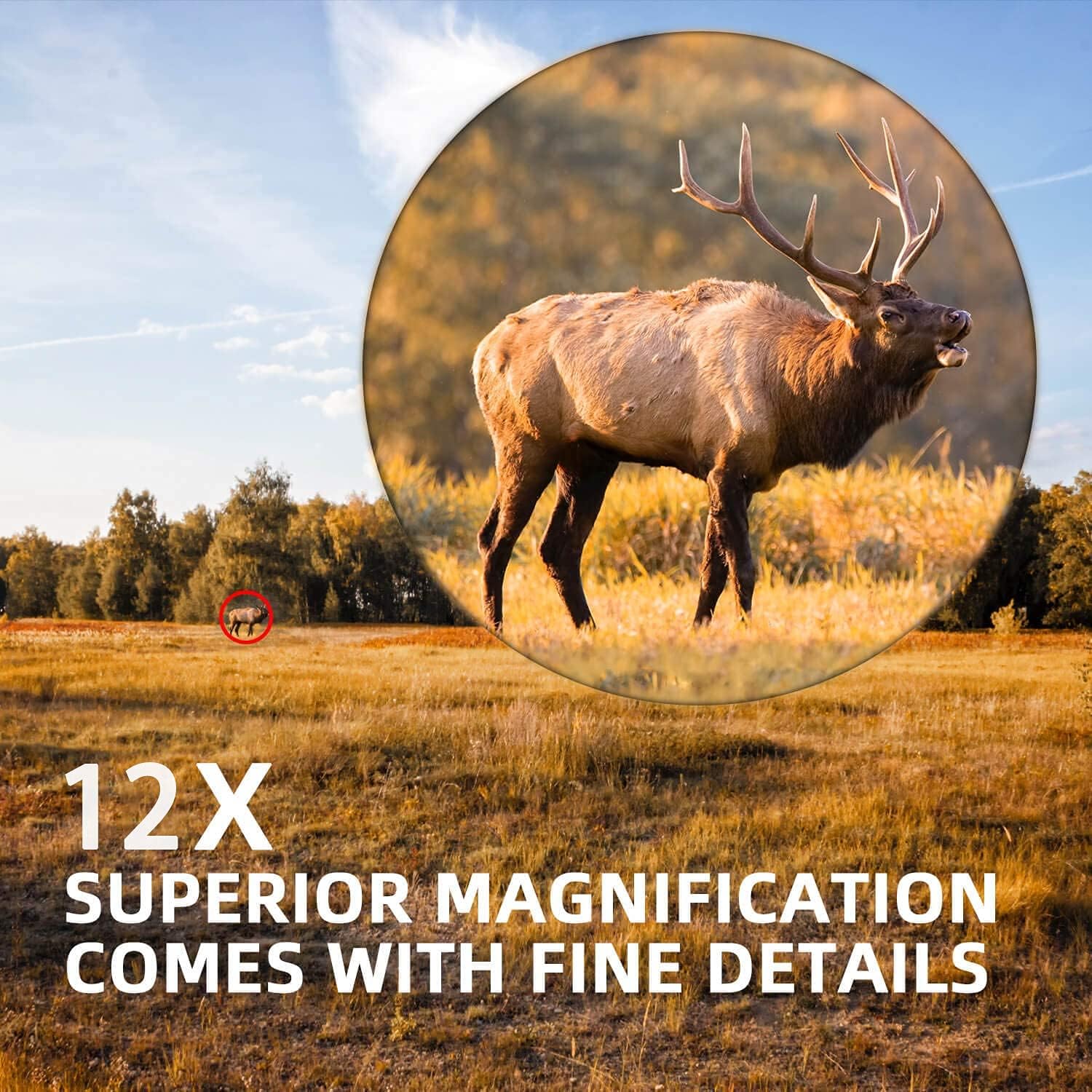 Designed in USA Hawkwill 12x50 Binoculars for Adults, Large Eyepiece Waterproof Binoculars with Low Light Night Vision, BaK4 Prism Binoculars for Bird Watching, Hunting, Outdoor Sports : Camera & Photo