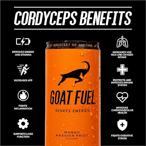 Miniatura 4 de Nueva bebida energética GOAT Fuel  Energía preentrenamiento sin azúcar  Aumenta el rendimiento mental y físico  Con hongos Cordyceps BCAA y