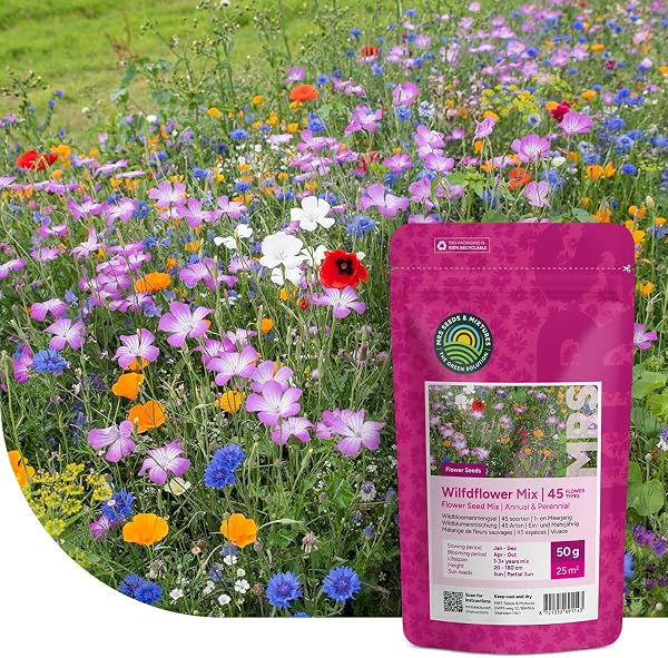 MRS Mélange de fleurs sauvages annuelles et vivaces - 250 g pour 125 m² - 62 variétés de fleurs multicolores riches en nectar - Attire abeilles et papillons - 1