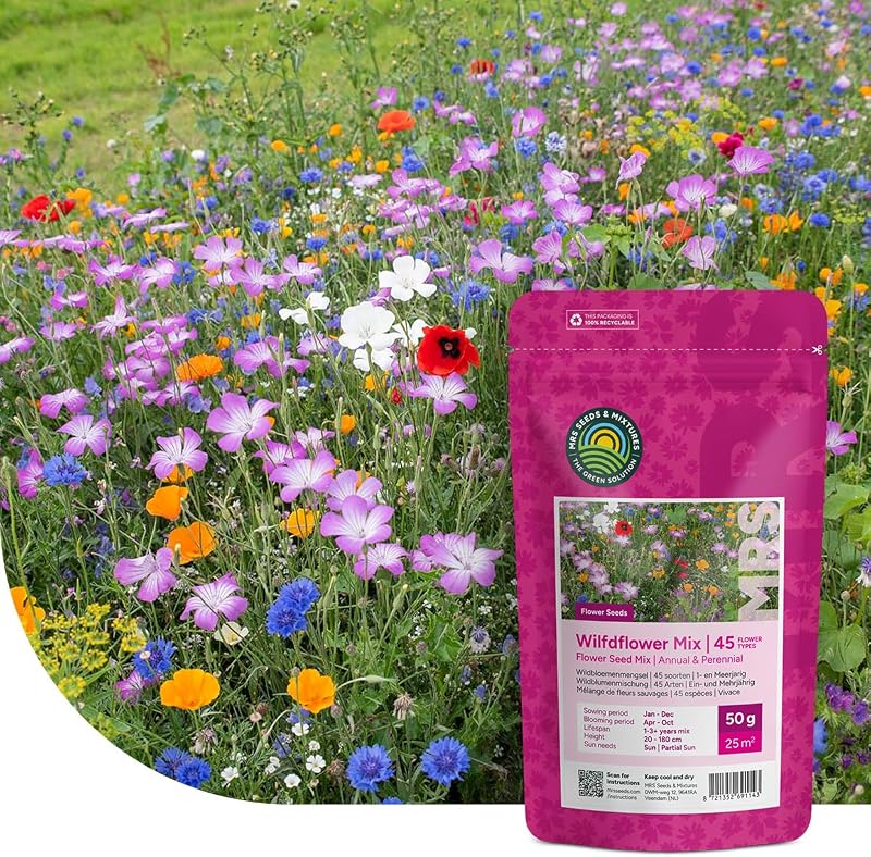 MRS Mélange de fleurs sauvages annuelles et vivaces - 250 g pour 125 m² - 62 variétés de fleurs multicolores riches en nectar - Attire abeilles et papillons