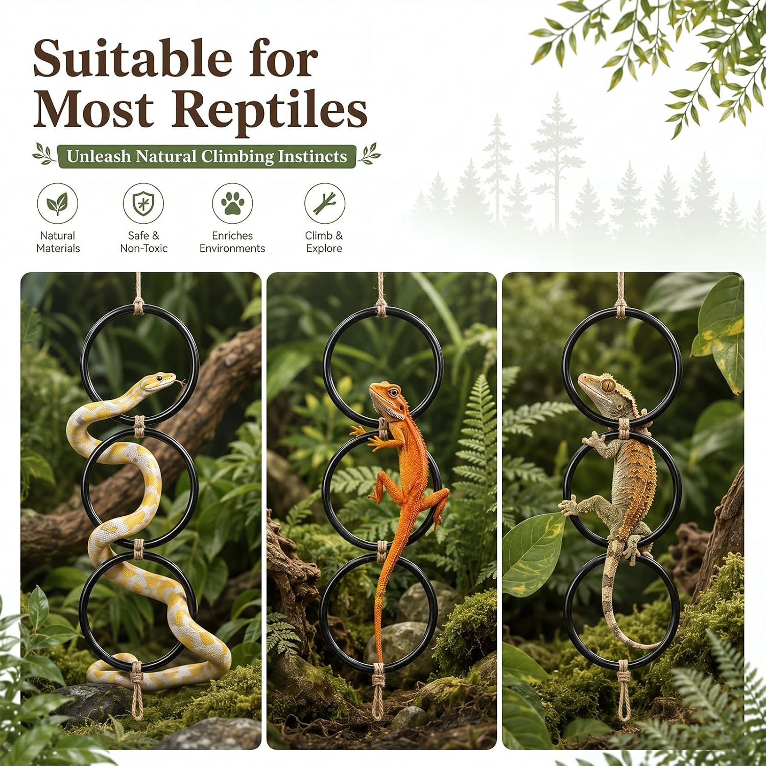 Layhit 5 Pcs Snake Climbing Branch Ring Reptile Wood Trunk Tank Decor Reptile Climbing Habitat Accessory for Terrarium Tree Trunk Ornament Gecko Frog Chameleon Spider