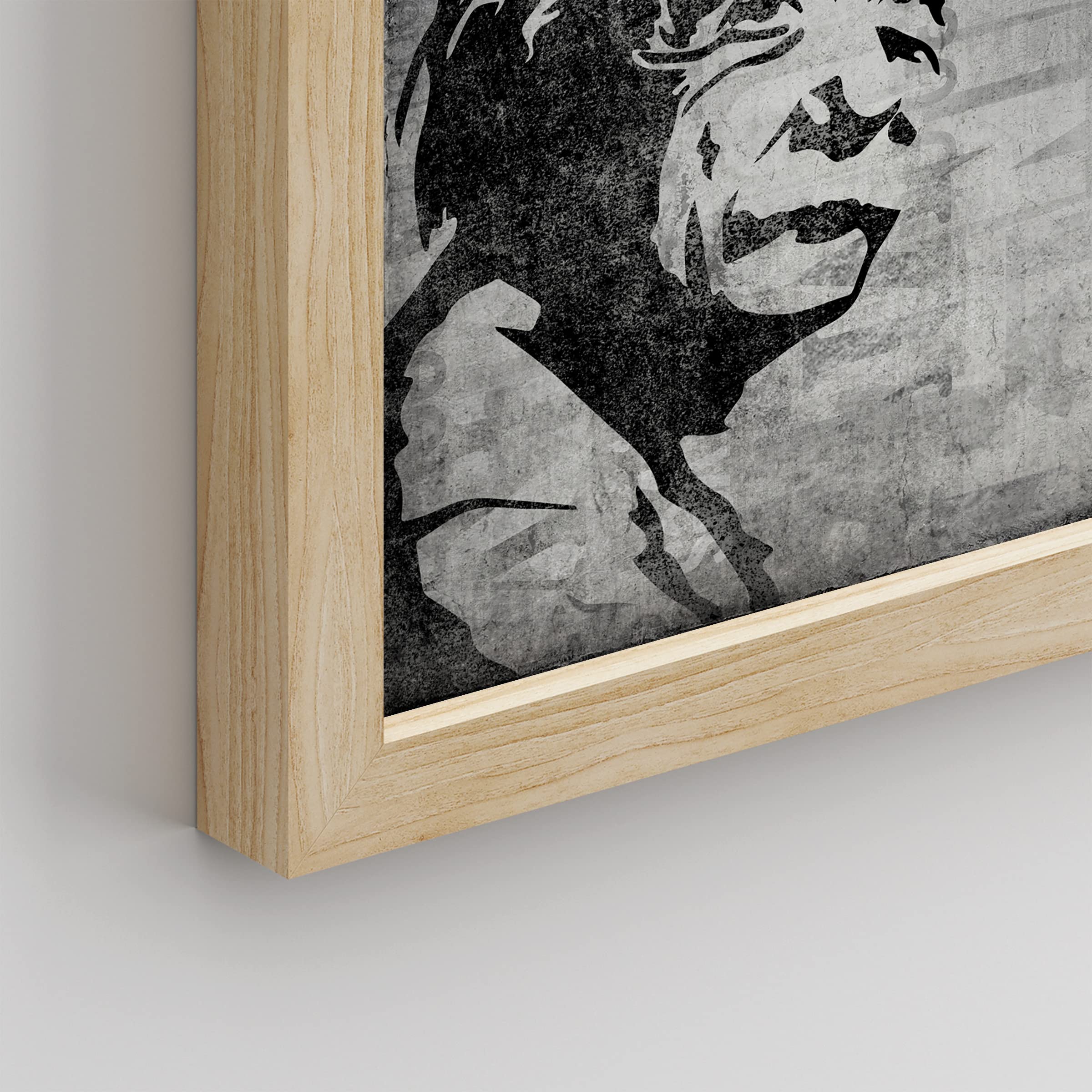 アインシュタイン　絵 アインシュタインの写真・画像素材-Snapmart（スナップマート）