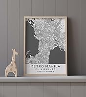 Vista 9 de Mapa de Metro Manila, Filipinas, Luz 2 (12x16)