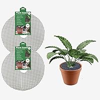Vista 10 de Curtis Wagner Plastics Plant Guard - Protector de plantas de 12 pulgadas de diámetro, paquete de 2 Protector de plantas de gatos y animales