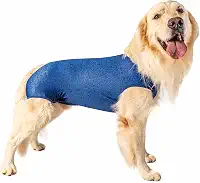 Roupa pós-cirúrgica específica para castração de cães machos - Tam 12 - peso 29 kg a 34kg - Pet Designer