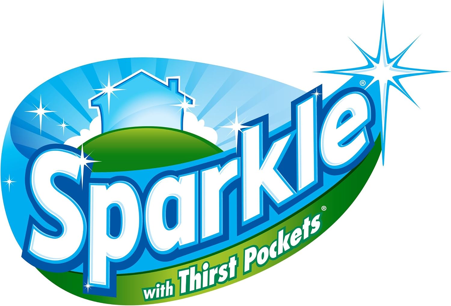 Sparkle Paper Towels, Print, 12 Large Rolls