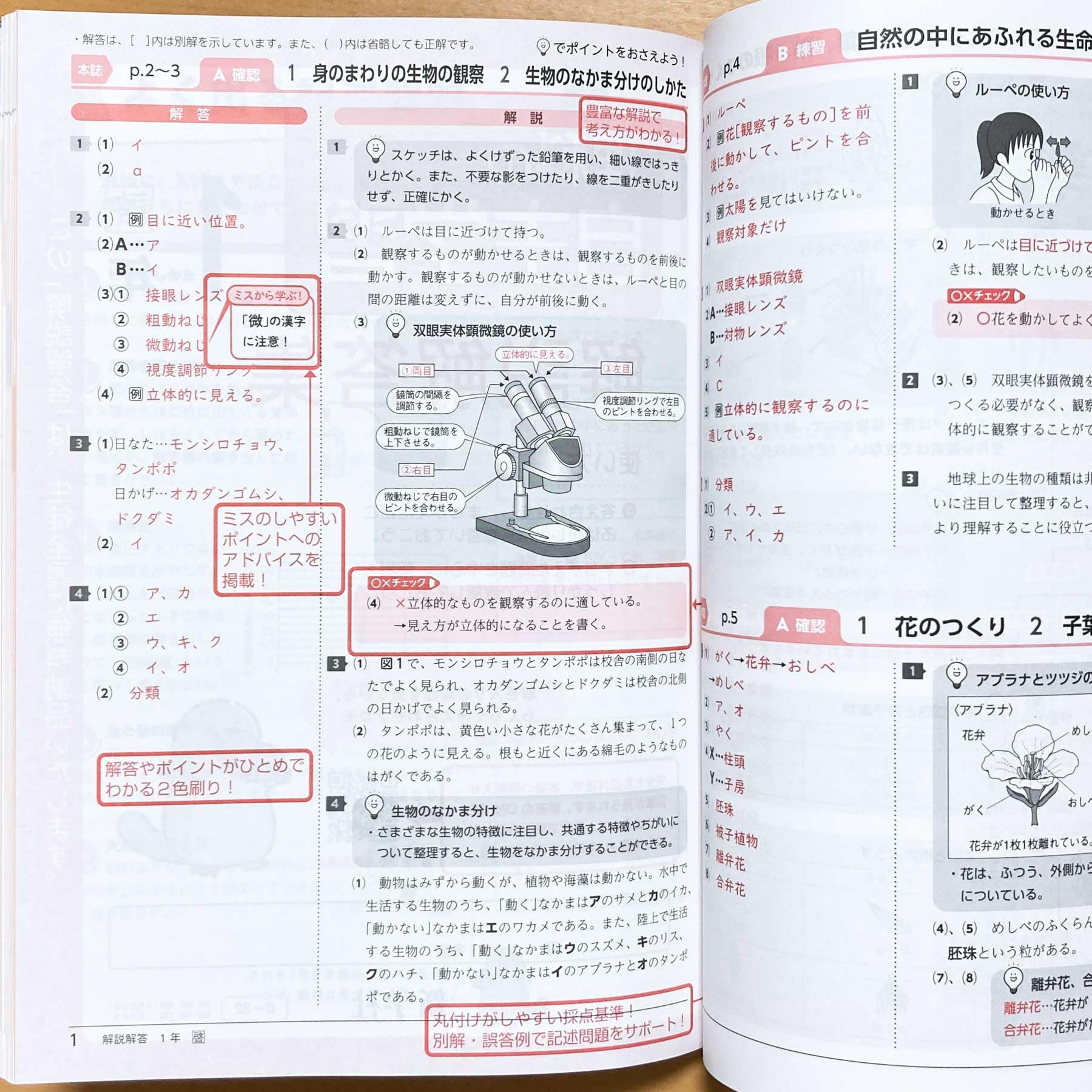 Amazon.co.jp: 2025年度版「理科の自主学習 1年 啓林館版【教師用