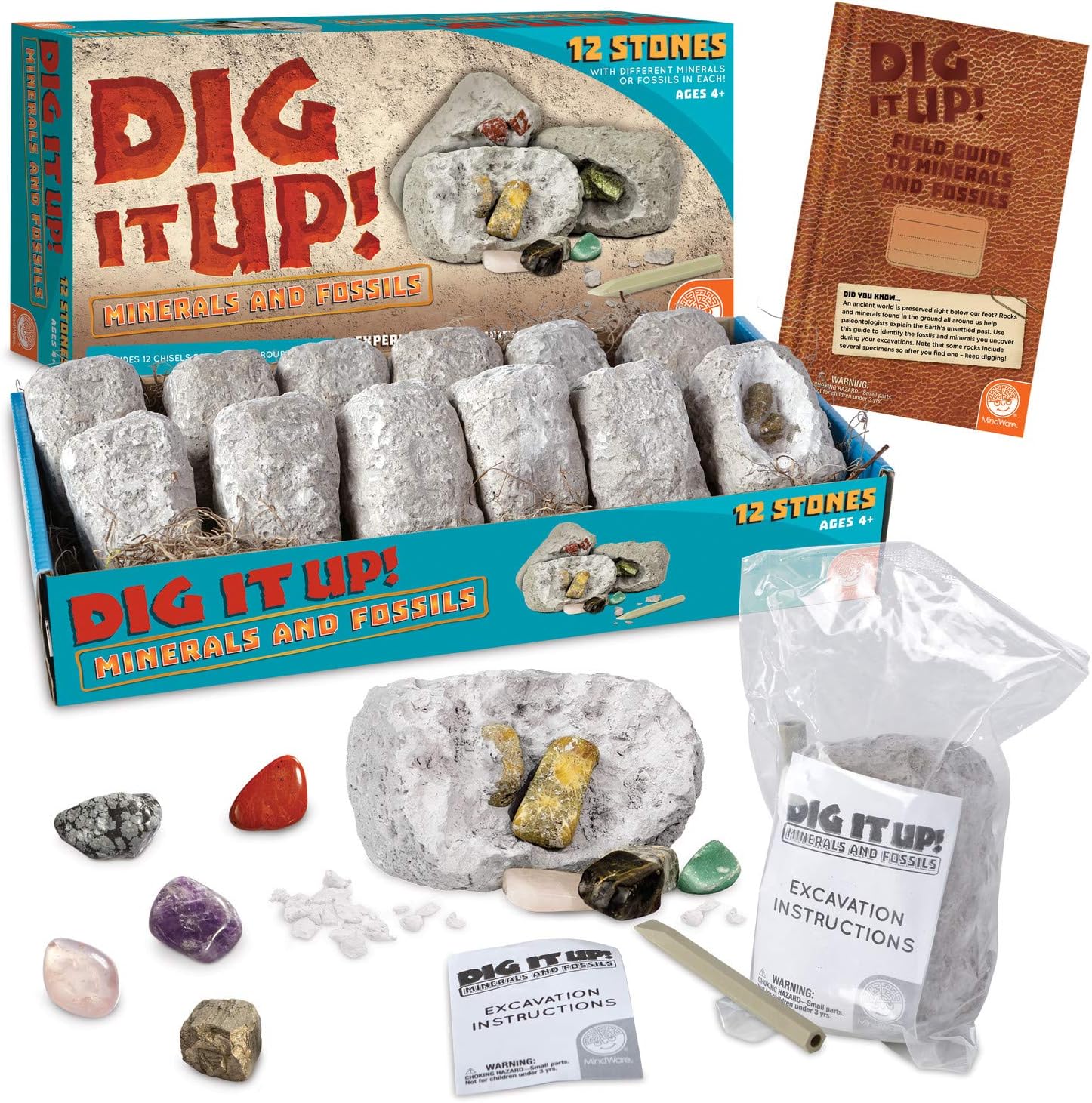 Dig It Up! Fossils & Minerals