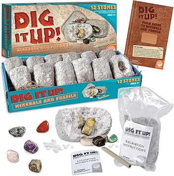 MindWare Dig It Up! Dig Kits for Kids Age 8-12, 12 Stone Fossil Toys for Girls & Boys, Great for Classrooms, Birthday Party & Kids Activities