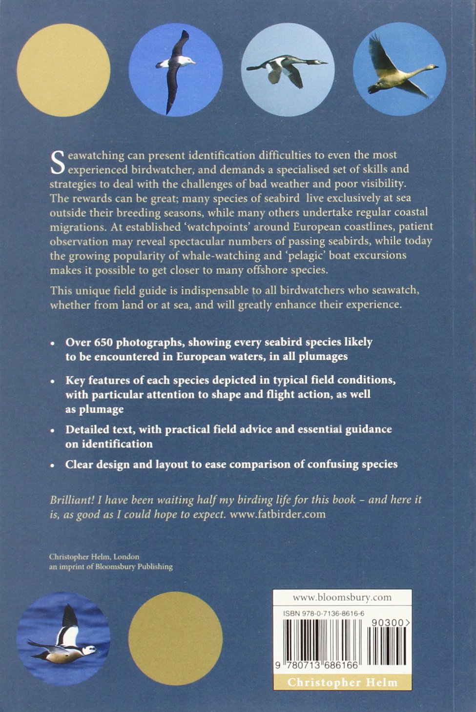 Flight Identification of European Seabirds