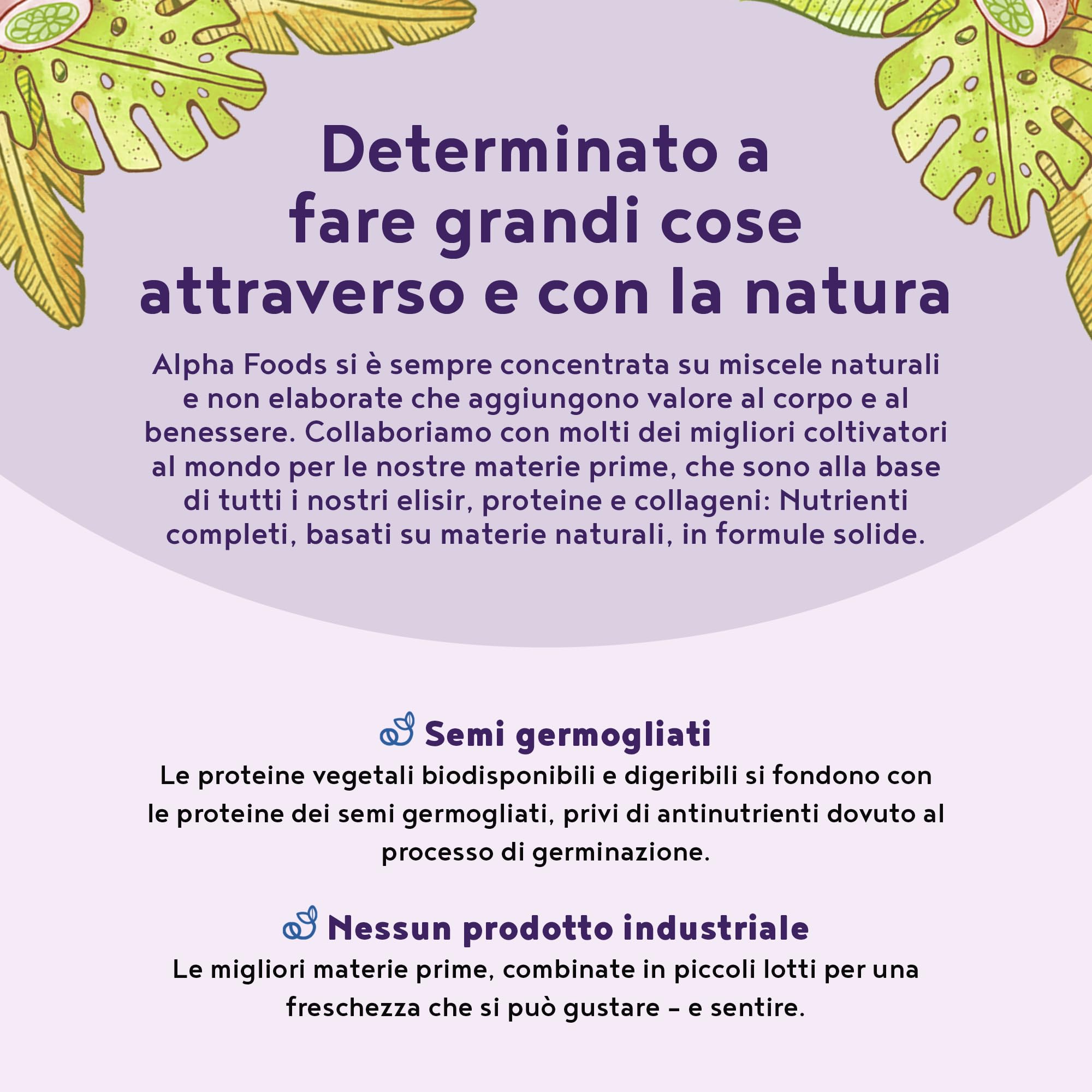 Proteine in Polvere Vegane | Gusto Mirtillo | 17g Proteine | Proteine Vegetali Isolate in Polvere di Pisello, Riso e Girasole | Massa Muscolare | 600g Vegan Protein Powder | Alpha Foods
