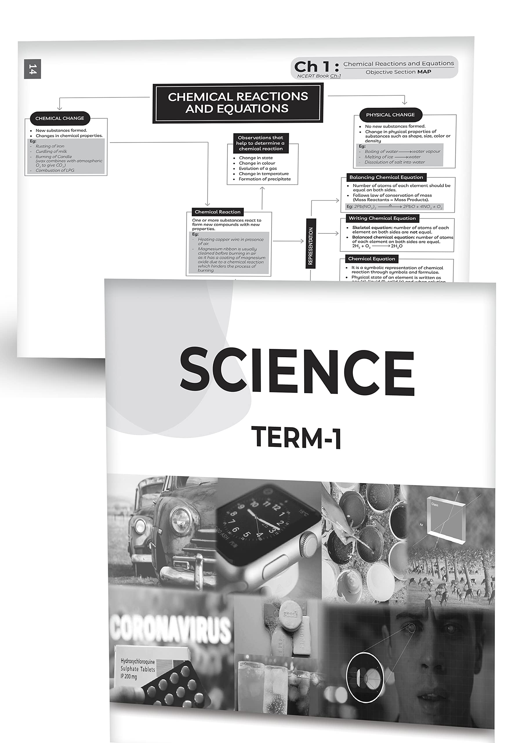 Educart CBSE Final Revision Book Term 1 For All Subjects Class 10 (Theory + MCQ Bank + Sample Paper) 2021 3