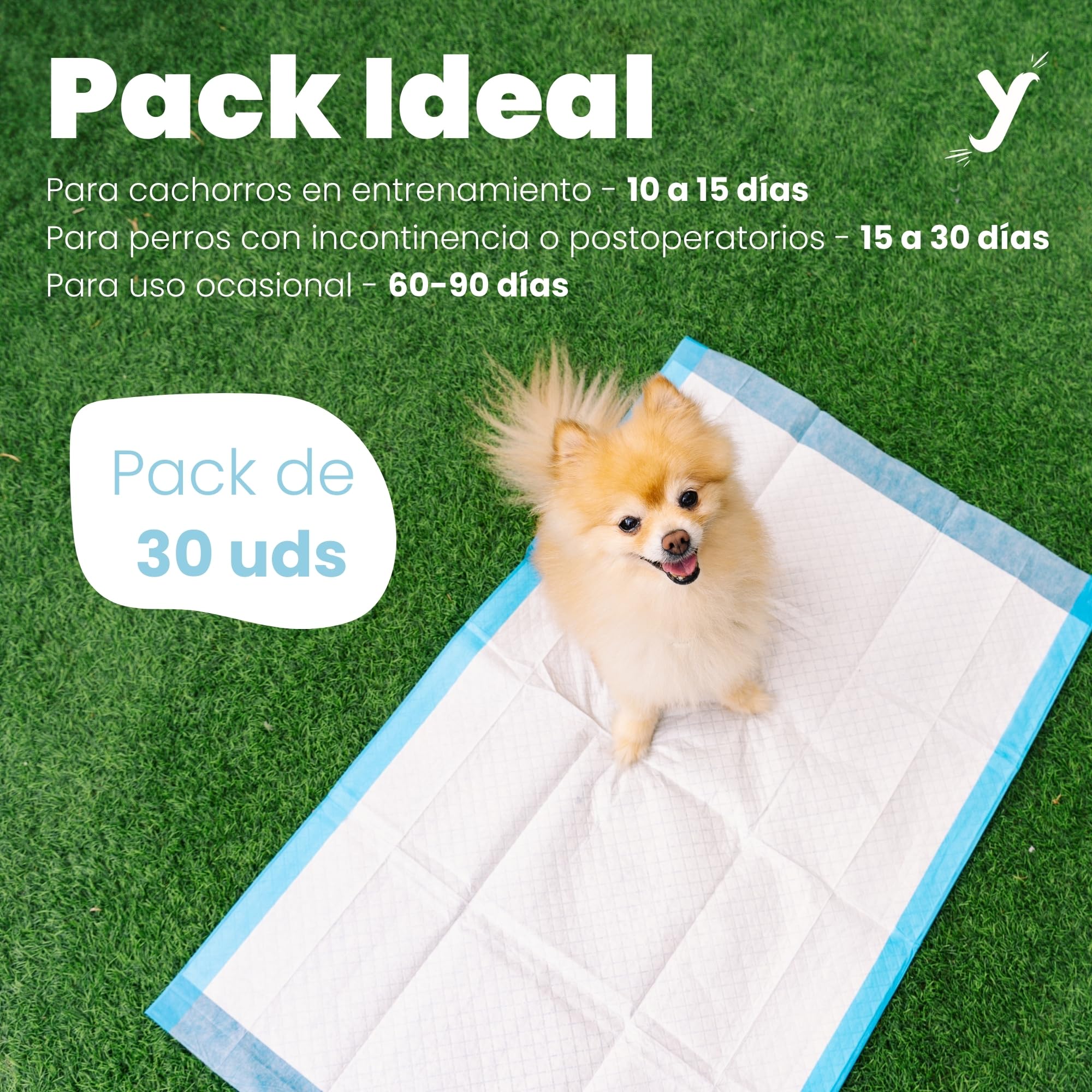 Empapadores Perro 60x90 cm XL, Alta Absorción, 120 Uds | Tecnología de 6 capas · Antifugas · Control de olores hasta 12 h · Ideal para cachorros, incontinencia y recuperación