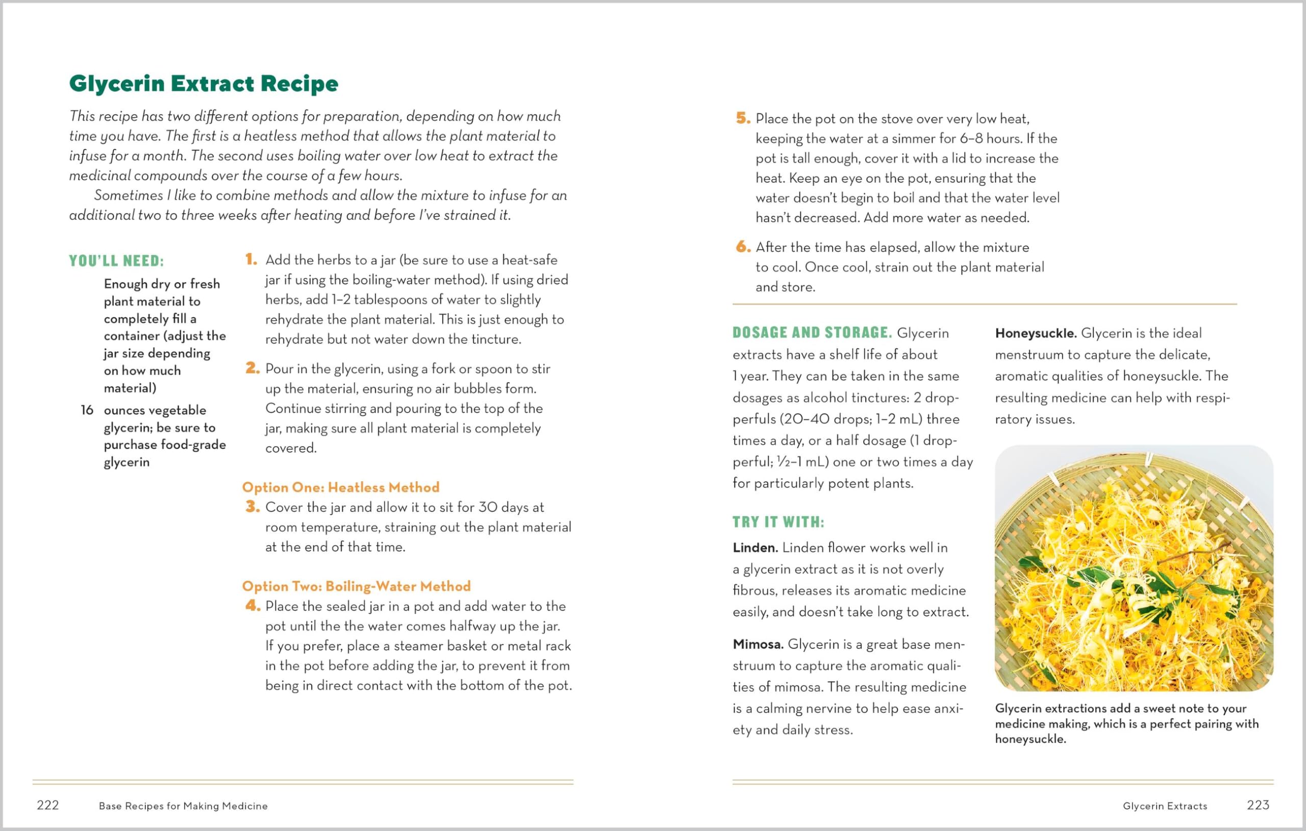 How to Forage for Medicinal Plants without Dying: An Absolute Beginner's Guide to Identifying 32 Healing Wild Herbs