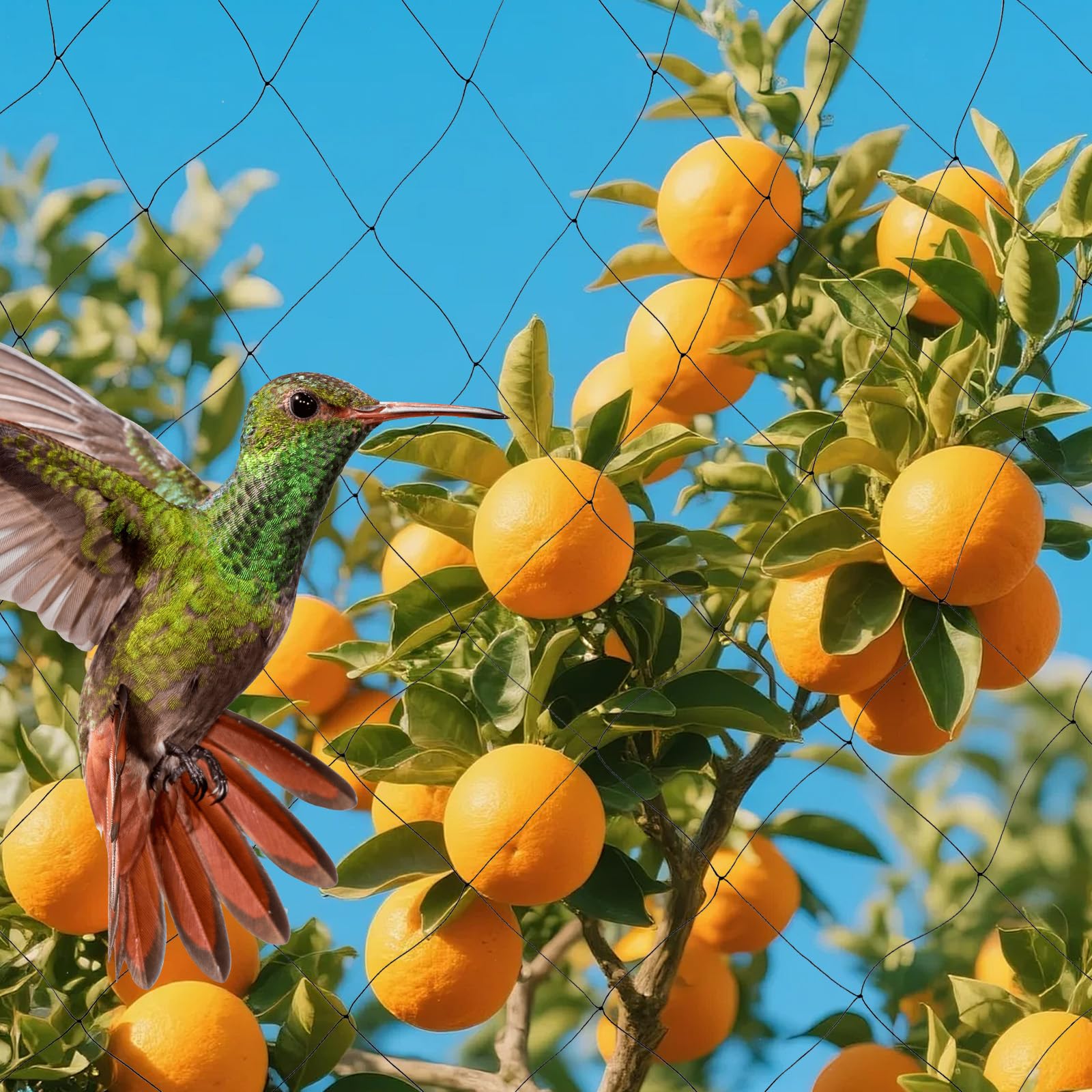 Vogelnetz, Vogelschutznetz für Obstgarten, Pflanzenschutznetz 100x50 Fuß, UV-beständig, wiederverwendbar, 5x5cm Maschenweite, für Obstbäume, Beerensträucher, Gemüsebeete