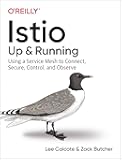 Istio: Up and Running: Using a Service Mesh to Connect, Secure, Control, and Observe