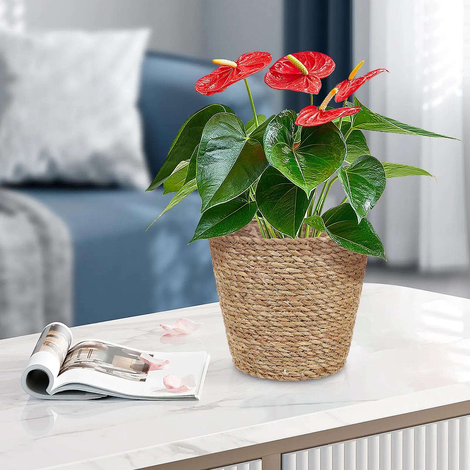 Fioriera Intrecciata in Paglia Fodera, Cesto Porta Piante da Interno, Contenitore Decorativo per Feste e Uso Quotidiano in Casa o Ufficio, Leggero e Pratico
