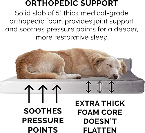 Miniatura 4 de Furhaven - Cama ortopédica para perro, con bloque sólido de espuma, en forma de L, estilo diván, de felpa y terciopelo, gris platino, talla jumbo