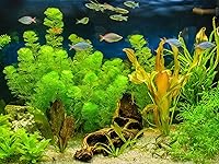 Review Image by Saul Martinez Saul Martinez