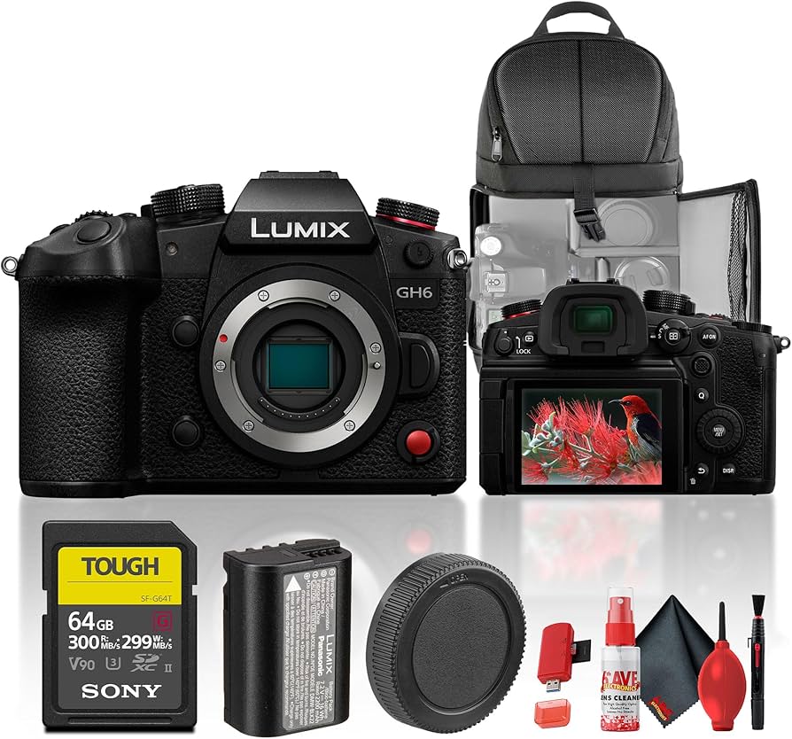 【美品】Panasonic LUMIX GH6 ボディ Amazon.com : Panasonic Lumix GH6 Mirrorless Camera (DC-GH6BODY