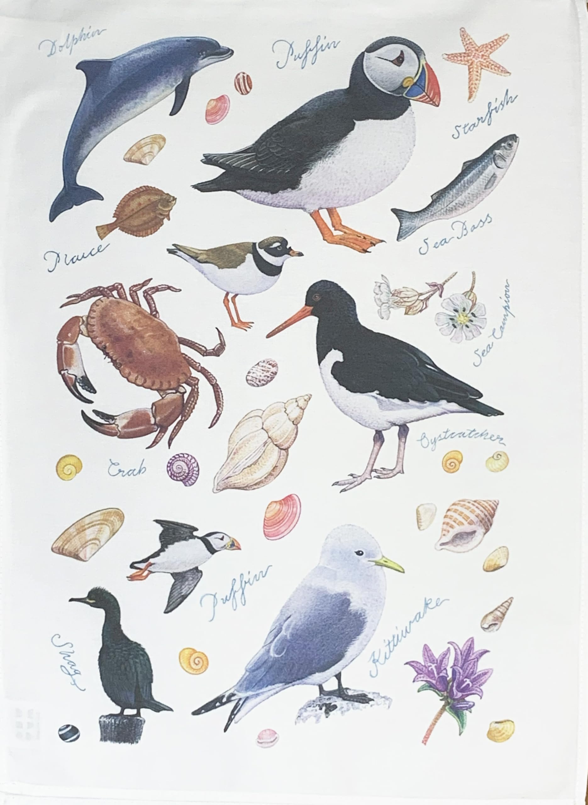 Half A Donkey White Seaside Wildlife Large Cotton Tea Towel