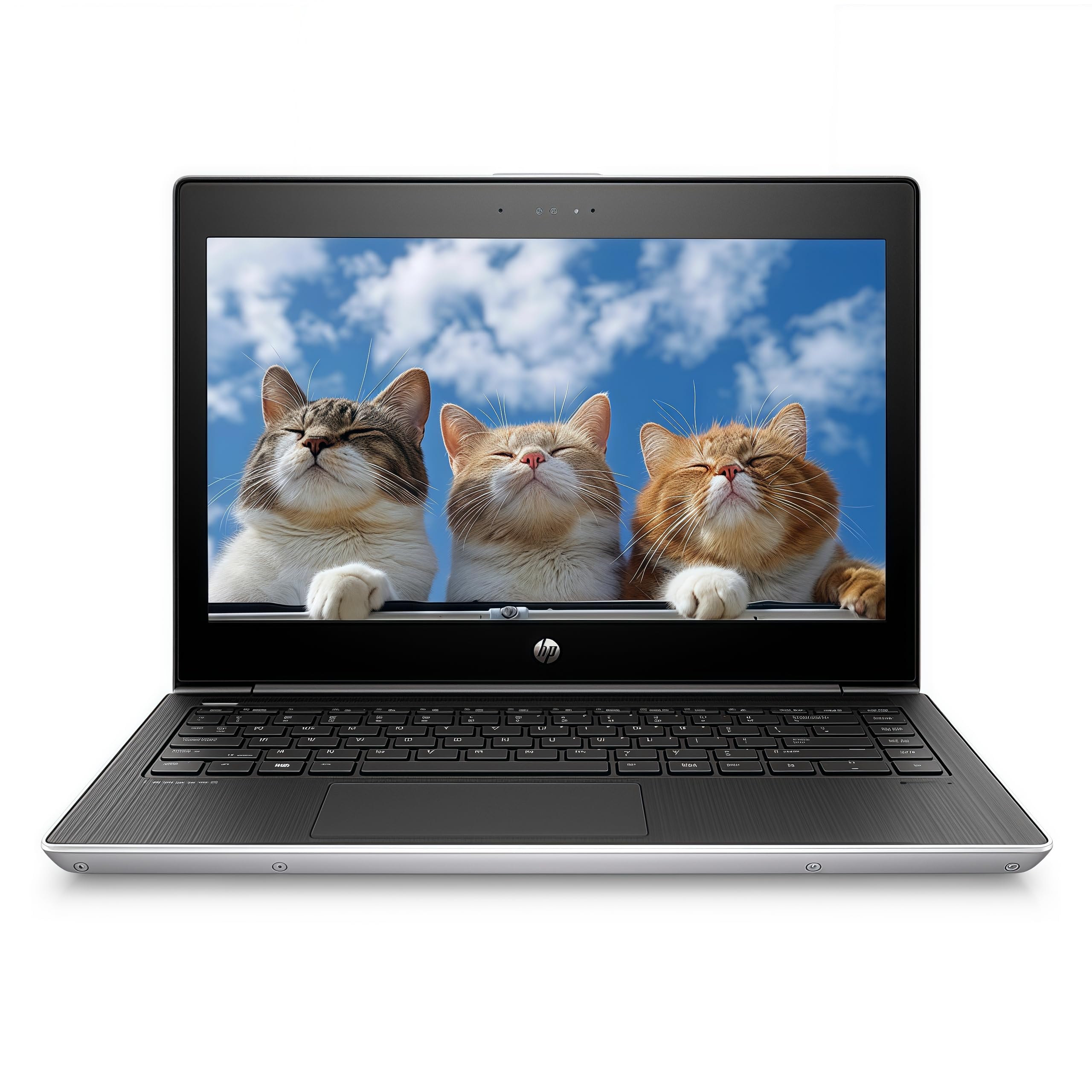 HP Computadora portátil ProBook MT31 Laptop, Cliente Ligero móvil, Intel Celeron-3867U, 8 GB de
