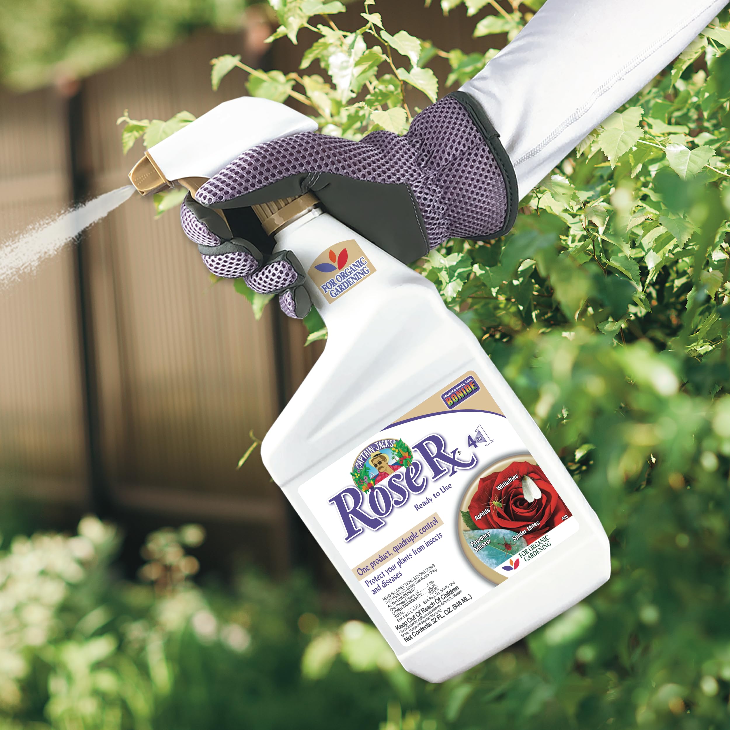 Amazon.com: Bonide Captain Jack's Rose Rx 4-in-1 Insect & Disease
