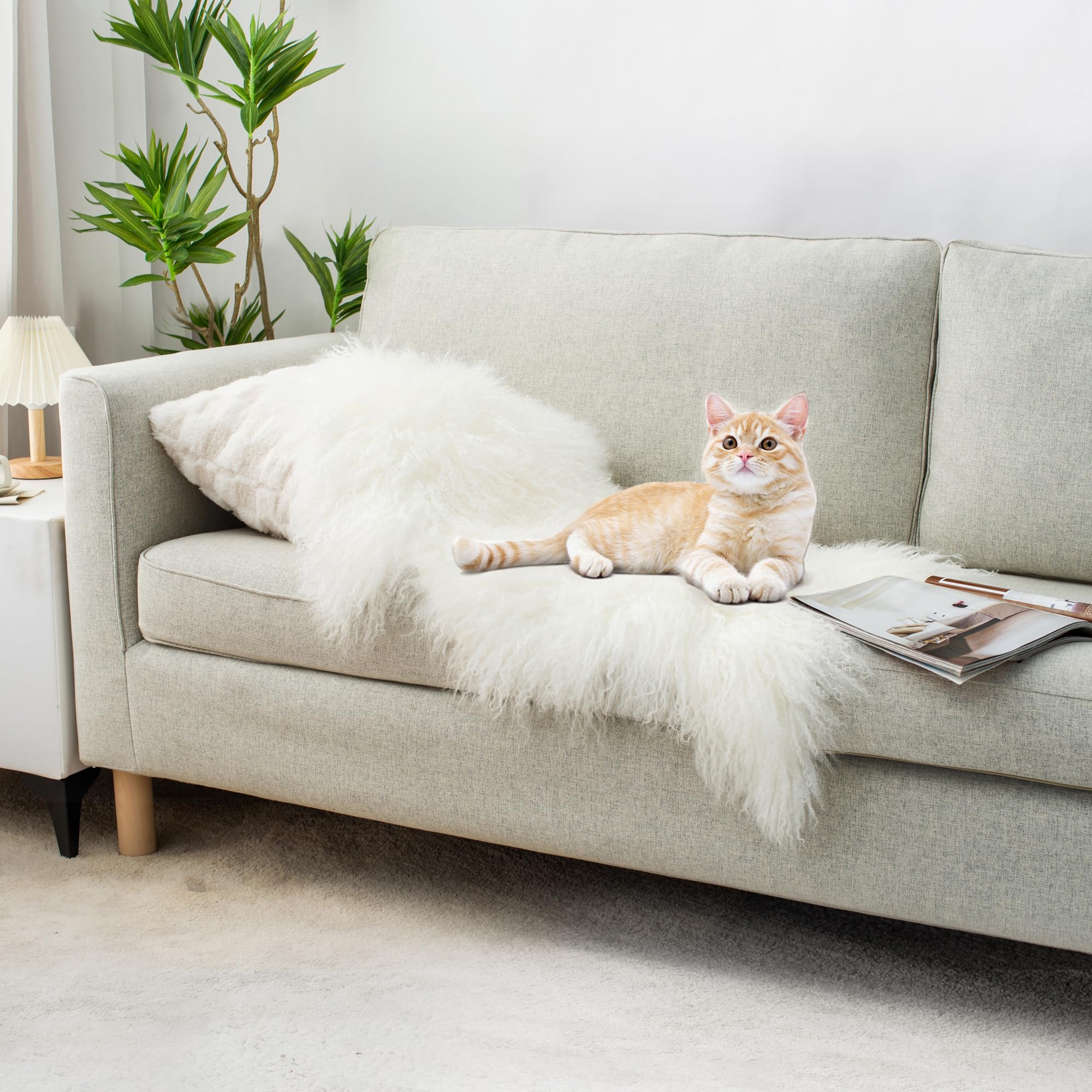Tapis en peau de mouton véritable Blanc 0,6 x 0,9 m