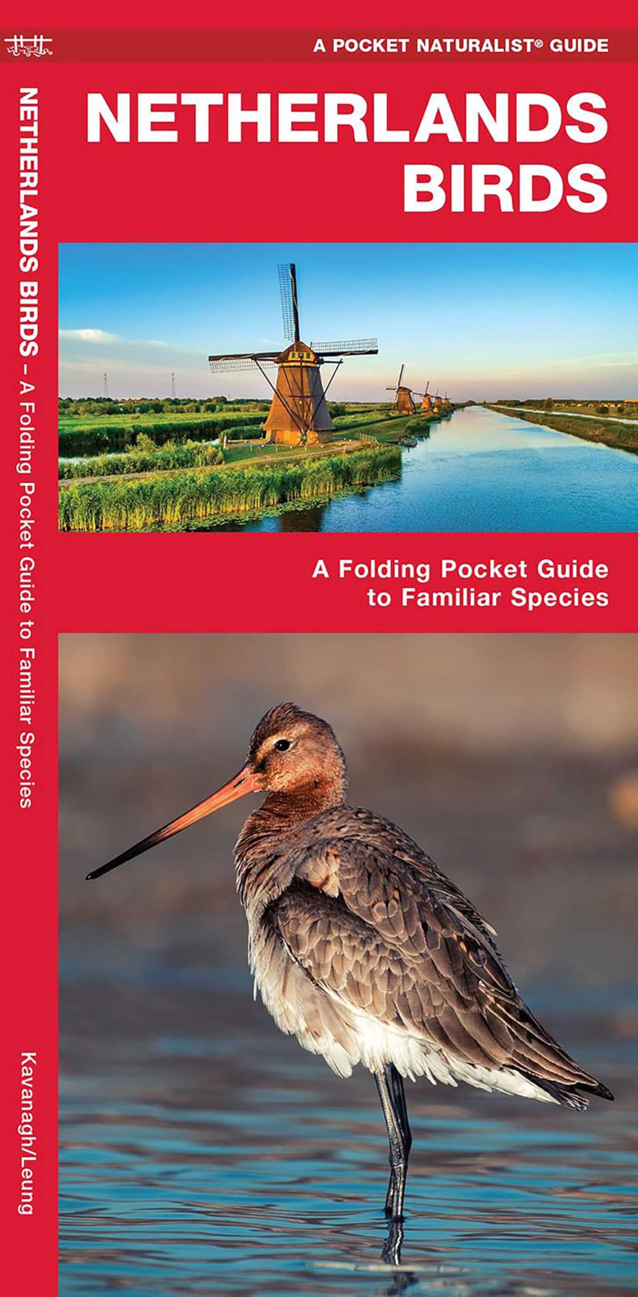 Netherland Birds: A Folding Pocket Guide to Familiar Species (Pocket Naturalist Guide) (Wildlife and Nature Identification) (Nature Observation International)