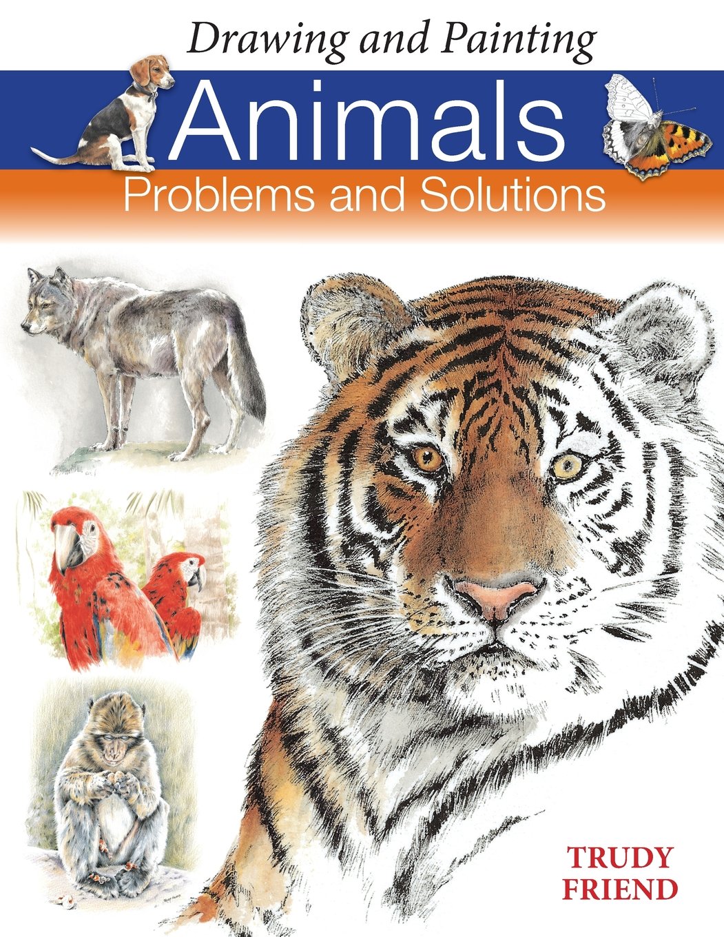 Drawing and Painting Animals Problems & Solutions — Trudy Friend
