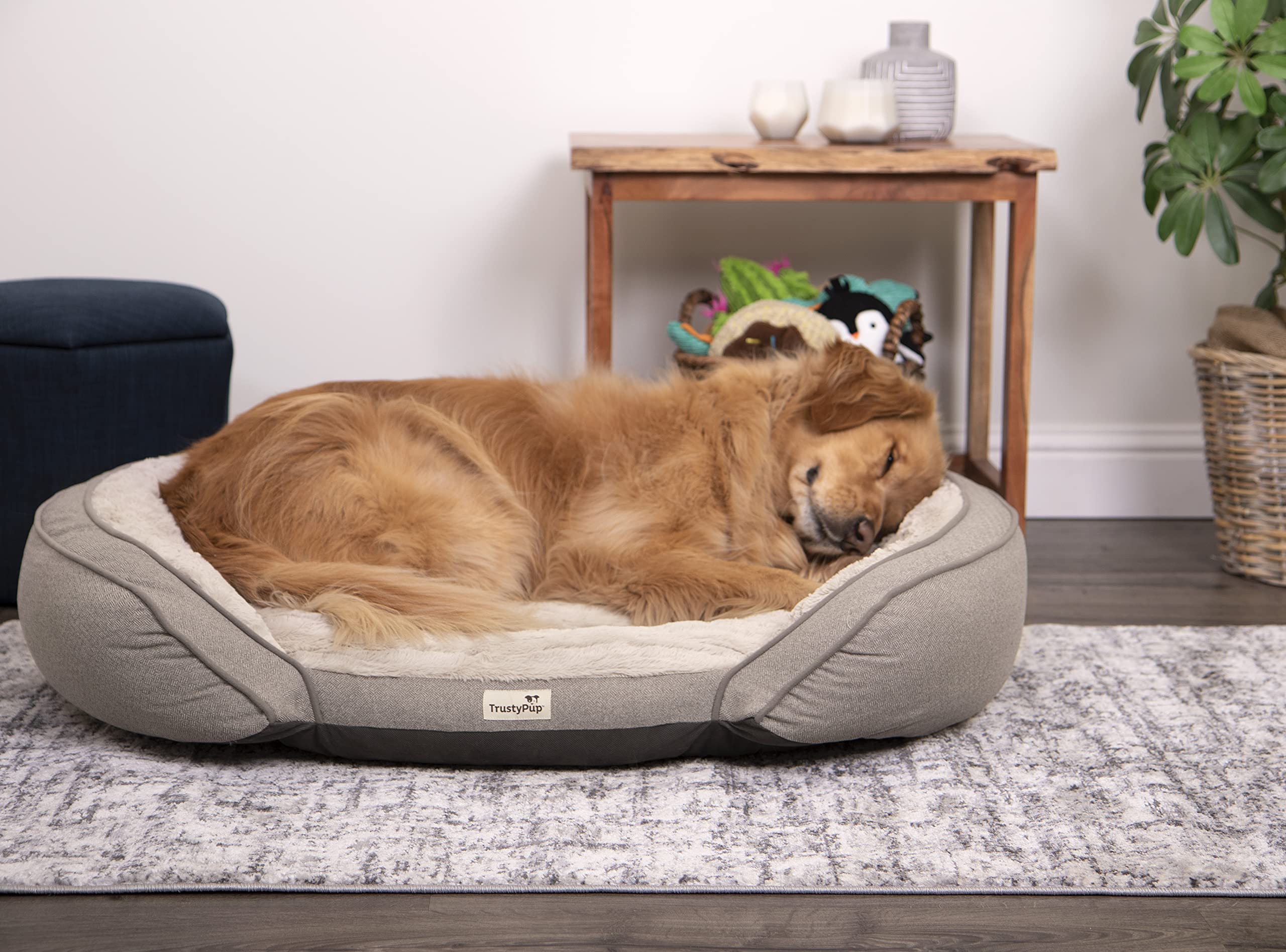 ASYストアTrustyPup Remedy Rest Foam Pet Memory Therapeutic Bed Cuddler