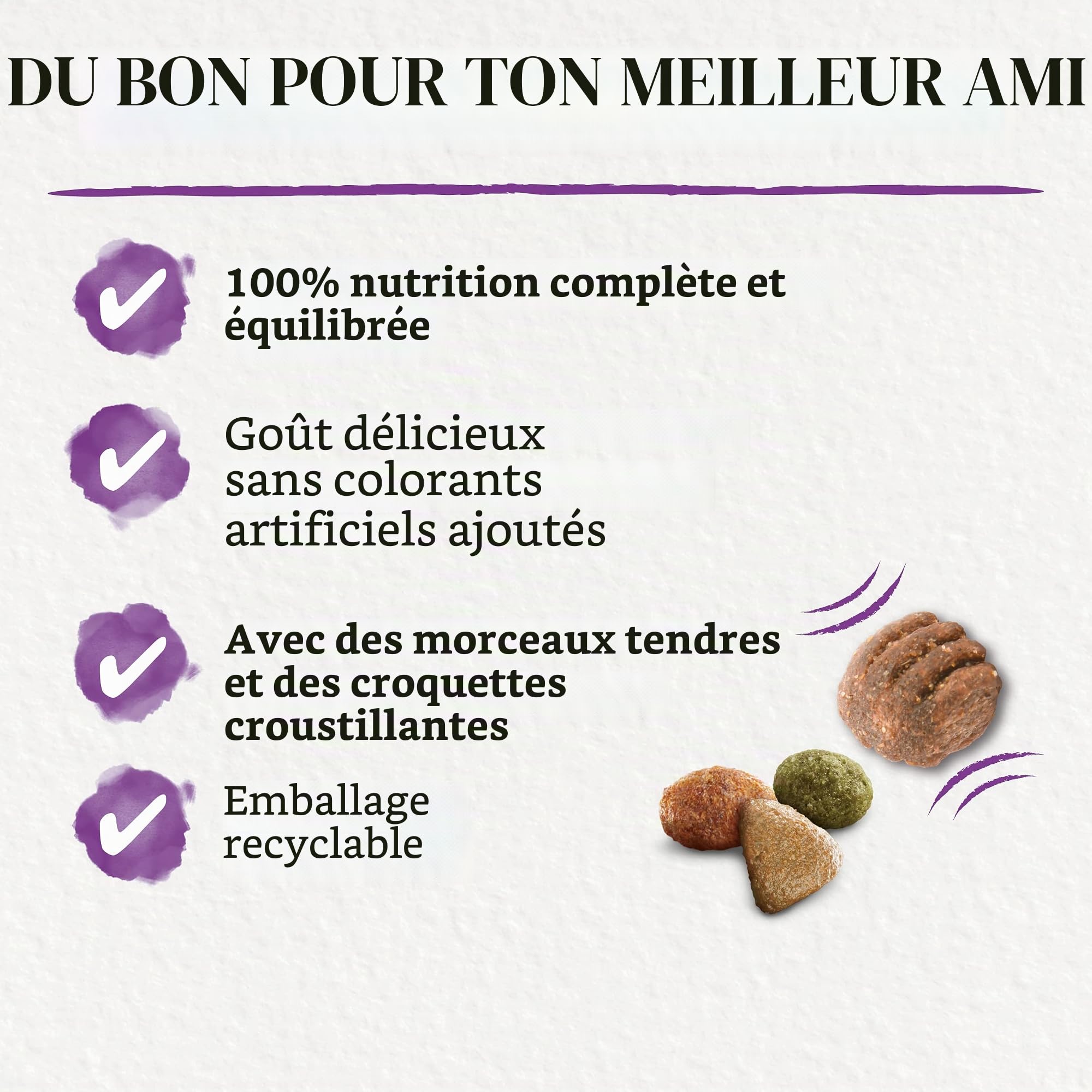 Beneful Glückliche Jahre 7+ Senior Nourriture sèche pour Chien avec Poulet et légumes du Jardin, 1 Paquet (1 x 12 kg)